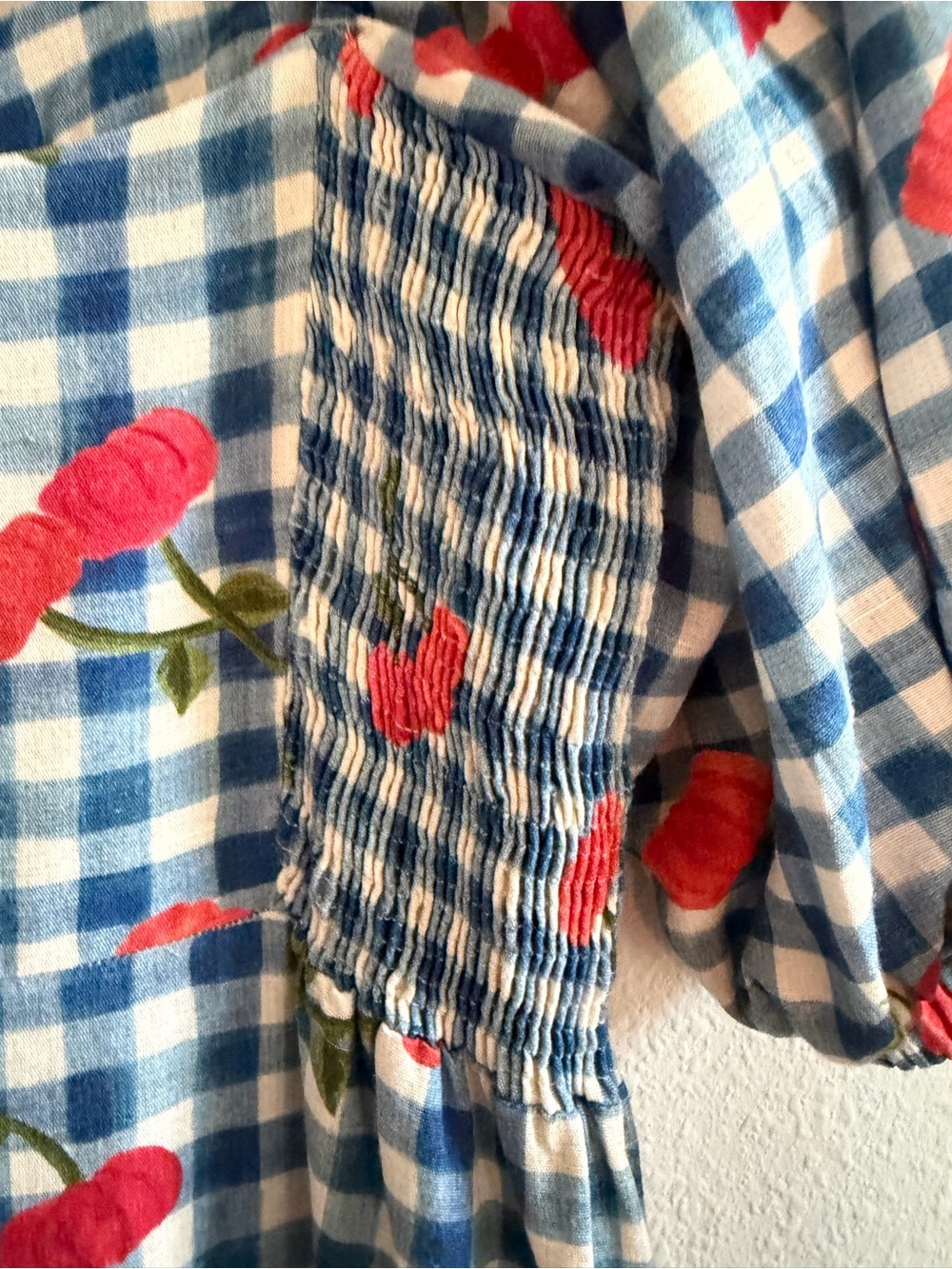 FARM Rio Blue and White Gingham Maxi Dress with Red Floral Accents - Picture 7 of 10